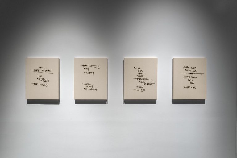 Jérôme Sans - JOEL ANDRIANOMEARISOA INSTALLATION VIEWS ARGPT 2024_103172.jpg