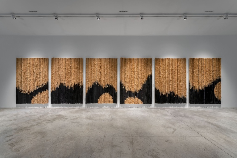 Jérôme Sans - JOEL ANDRIANOMEARISOA INSTALLATION VIEWS ARGPT 2024_103189.jpg