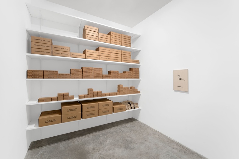 Jérôme Sans - JOEL ANDRIANOMEARISOA INSTALLATION VIEWS ARGPT 2024_103190.jpg