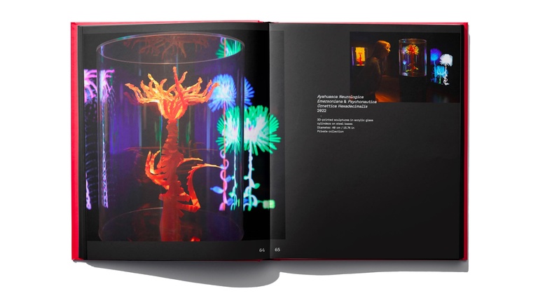 Jérôme Sans - Miguel Chevalier_spreads mockup pages 46-47_FR_1.jpg
