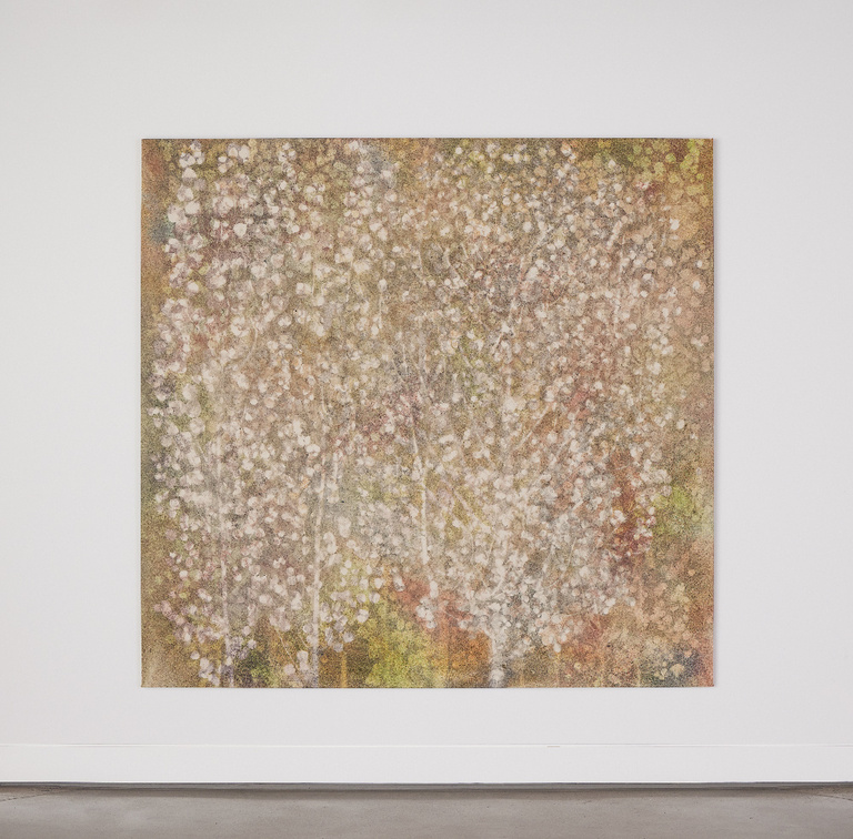 Jérôme Sans - Inside Autumn Inside Aspens_Sam Falls_Nothing Without Nature, Cookie Factory Denver, 2024. Photo Third Dune Productions. Courtesy of the artist and 303 Gallery, New York.jpg