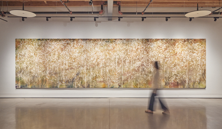 Jérôme Sans - Installation view 1_Sam Falls_Nothing Without Nature, Cookie Factory Denver, 2025. Photo Third Dune Productions. Courtesy of the artist and 303 Gallery, New York.jpg