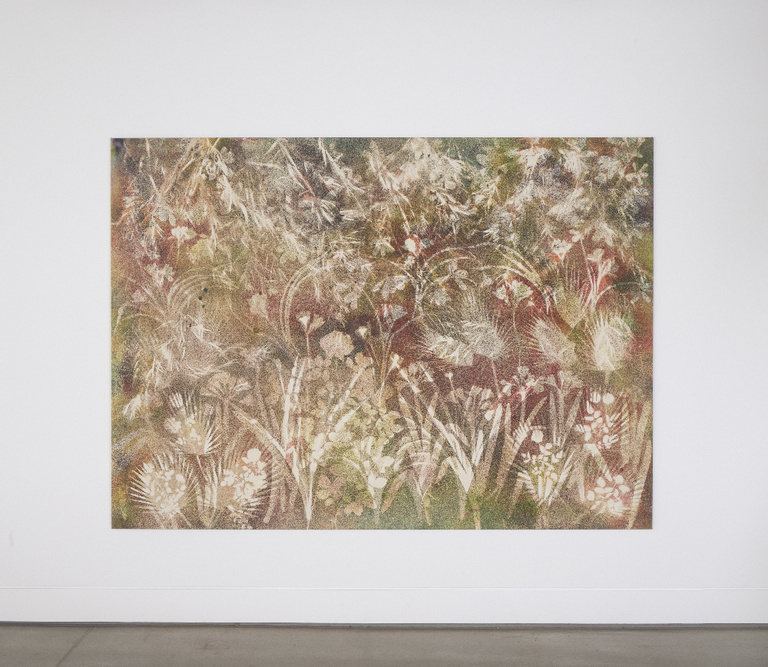 Jérôme Sans - One Rainy Wish_Sam Falls_Nothing Without Nature, Cookie Factory Denver, 2025. Photo Third Dune Productions. Courtesy of the artist and 303 Gallery, New York.jpg