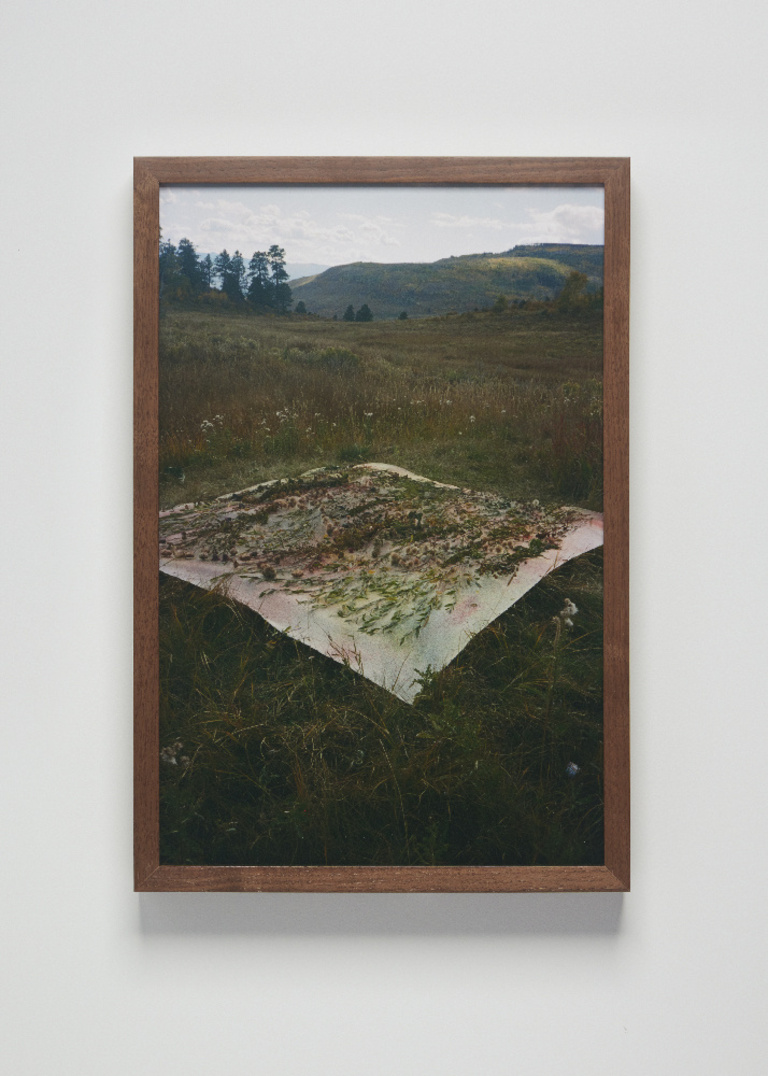 Jérôme Sans - Open Field_Sam Falls_Nothing Without Nature, Cookie Factory Denver, 2025. Photo Third Dune Productions. Courtesy of the artist and 303 Gallery, New York.jpg