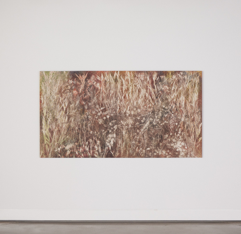 Jérôme Sans - Watering Hole_Sam Falls_Nothing Without Nature, Cookie Factory Denver, 2024. Photo Third Dune Productions. Courtesy of the artist and 303 Gallery, New York.jpg