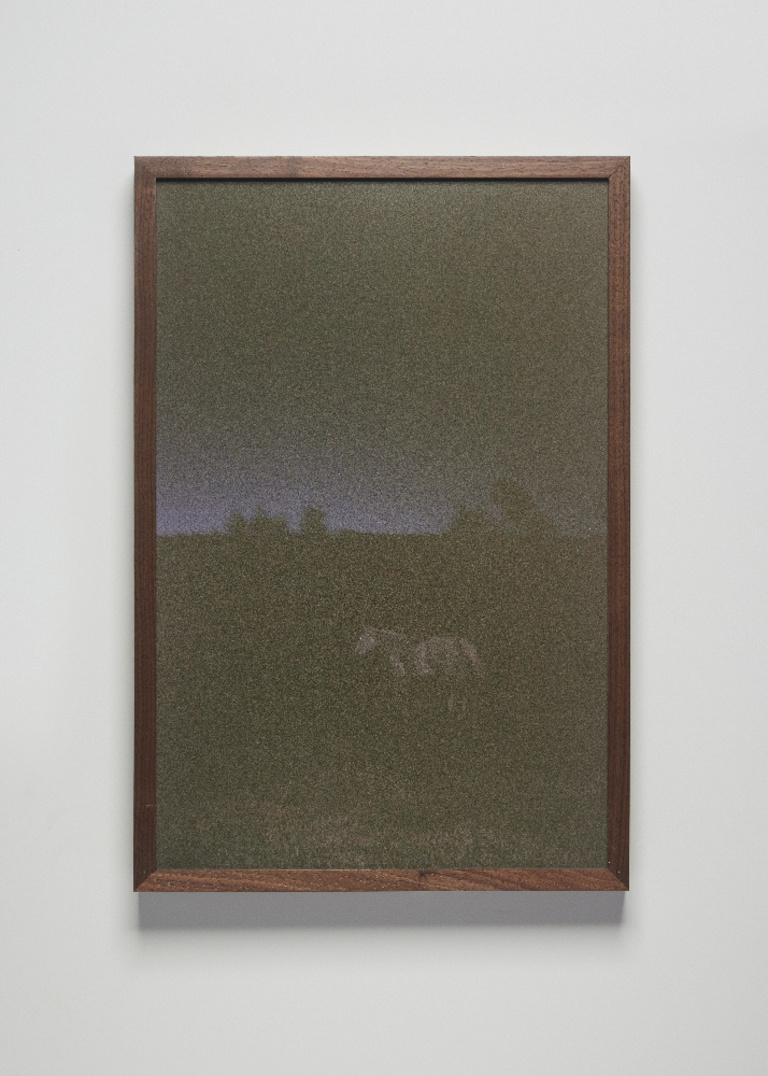 Jérôme Sans - Wild Horses_Sam Falls_Nothing Without Nature, Cookie Factory Denver, 2025. Photo Third Dune Productions. Courtesy of the artist and 303 Gallery, New York.jpg