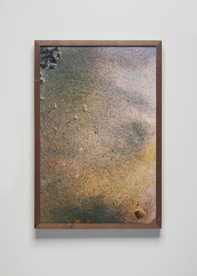 Jérôme Sans - Wind_Sam Falls_Nothing Without Nature, Cookie Factory Denver, 2025. Photo Third Dune Productions. Courtesy of the artist and 303 Gallery, New York.jpg