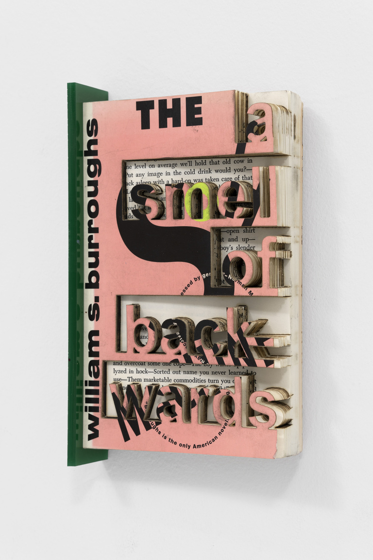 Jérôme Sans - Flowers Blooming on Acid - Rafael Domenech
